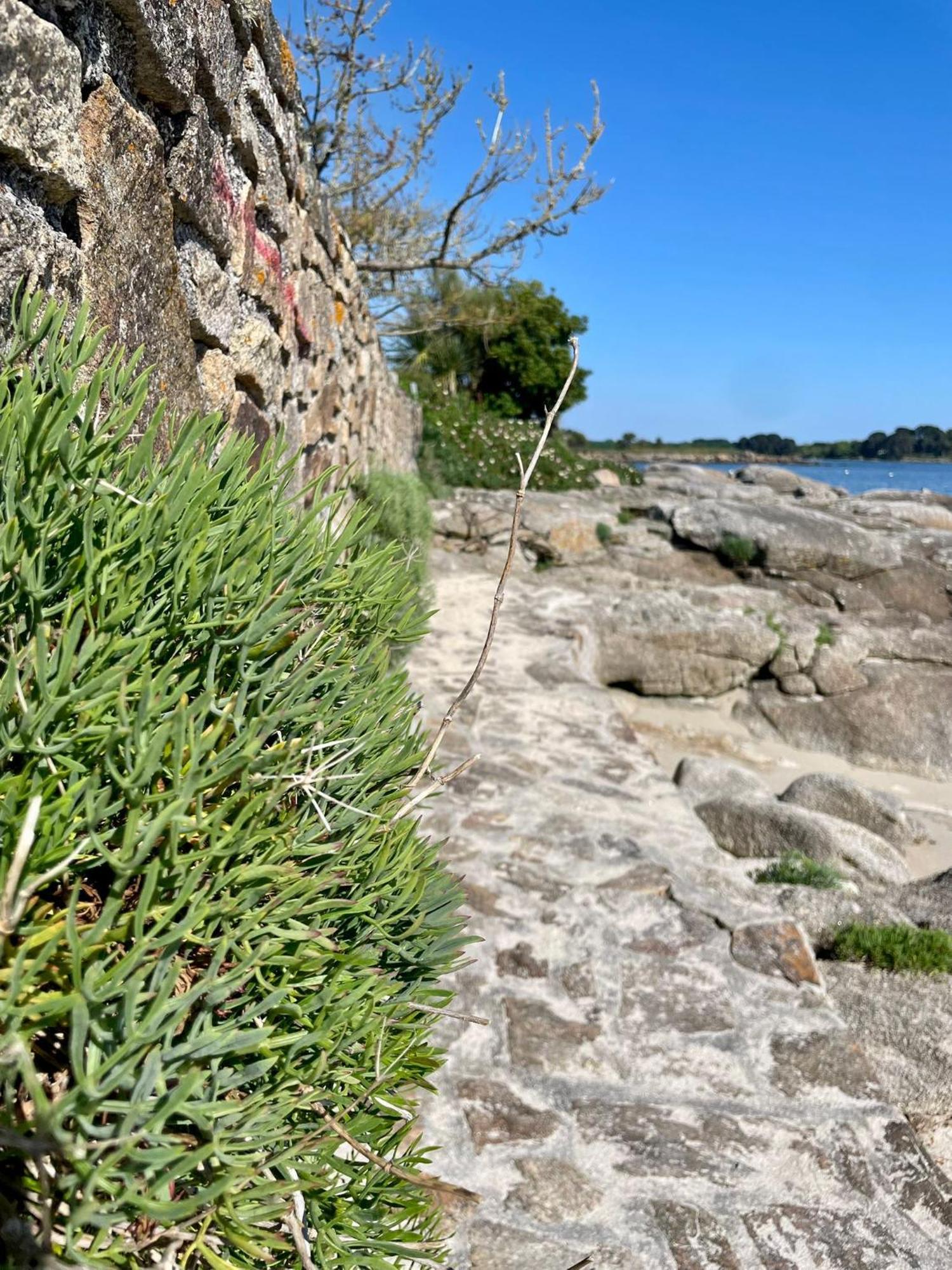 3 Maisons de vacances Sittelles Lodge Concarneau Extérieur photo